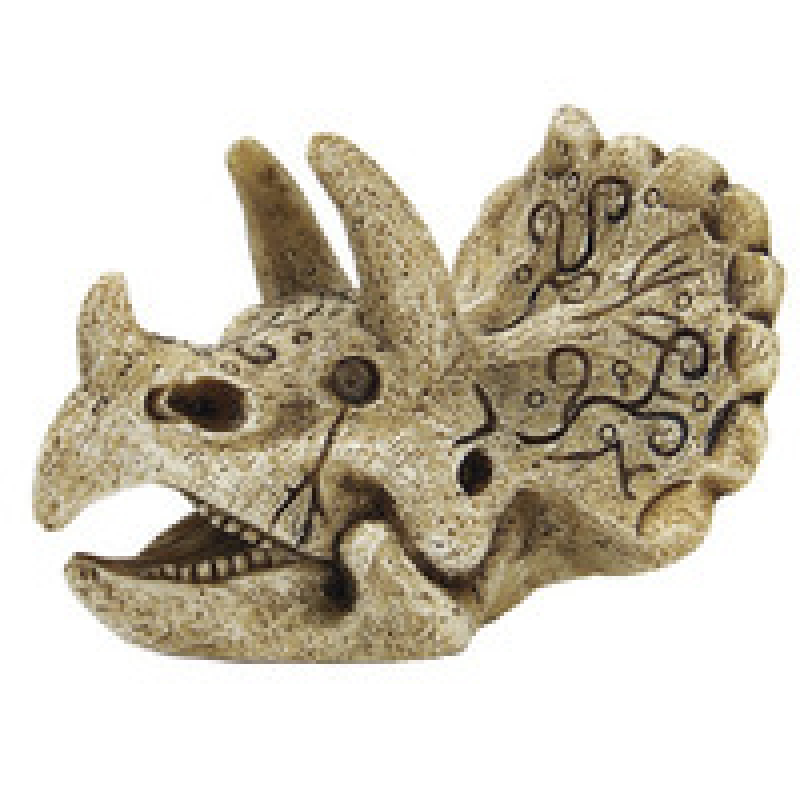 Superfish Skull Triceratops S